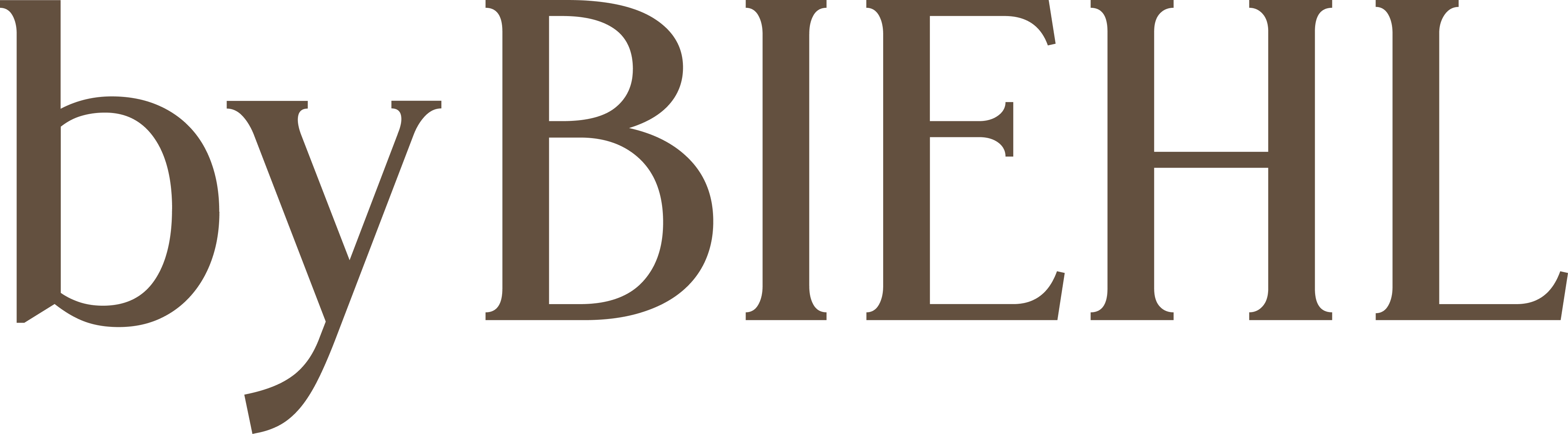 byBiehl International